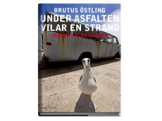 Brutus Östling fotobok Under asfalten vilar en strand - Midways albatrosser