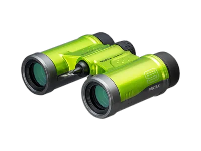 Compact binoculars
