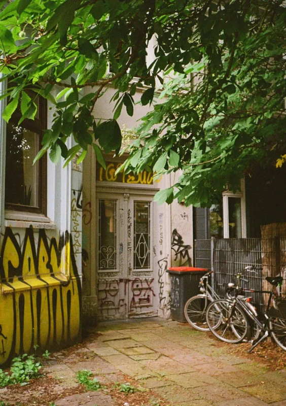Colour film sample: bikes and graffiti in a leafy yard