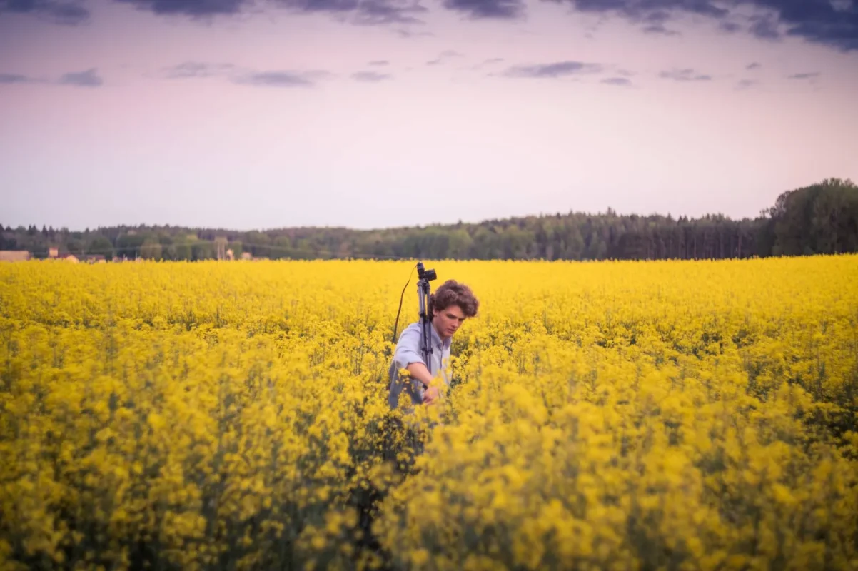 Photographer crouching with a tripod in a yellow rapeseed field