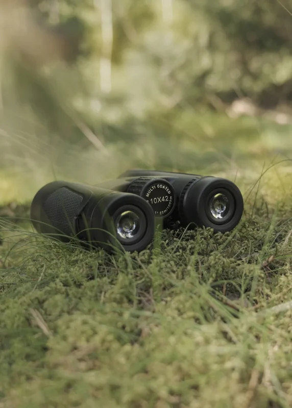 Binoculars lying in long grass