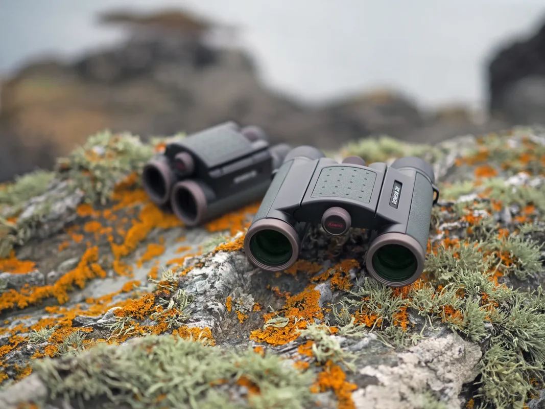 Compact binoculars on a lichen-covered rock