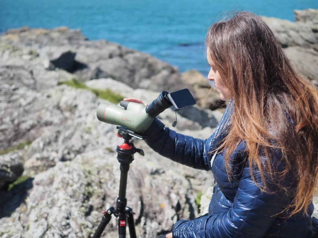 Woman photographing through a spotting scope with her phone from coastal rocks