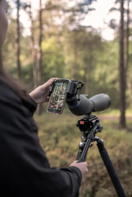 Phone in an adapter on a spotting scope eyepiece, the screen showing a bird on a branch