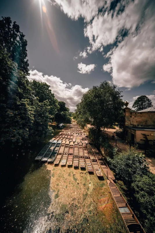 Boardwalk through trees under a big sky shot with an ultra-wide lens