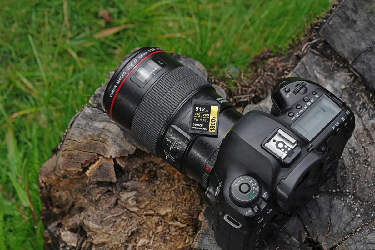 DSLR and memory card on a mossy log in the forest