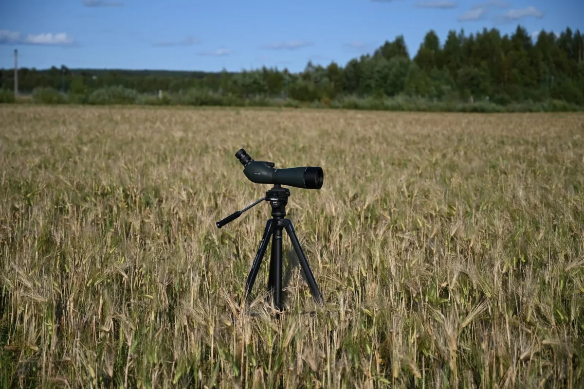 Spotting scope on a tripod in a golden wheat field